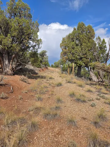 Road curves around to the cabin and back up top!