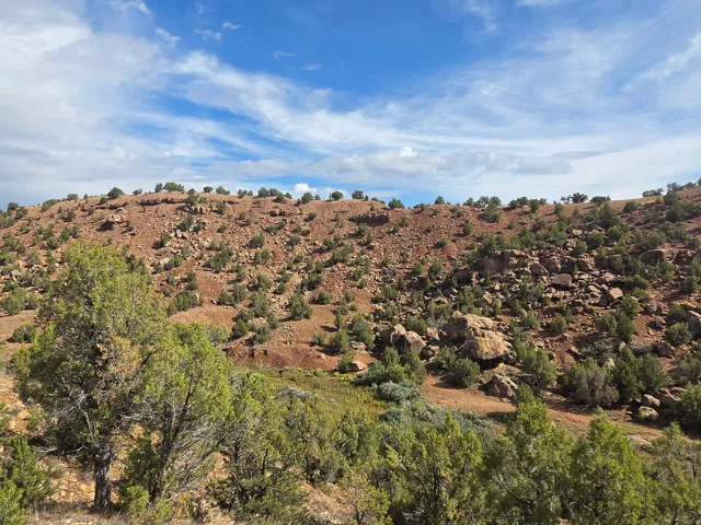 Stunning property views!!