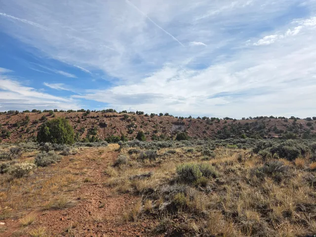 Beautiful property views from up top - field/pasture!