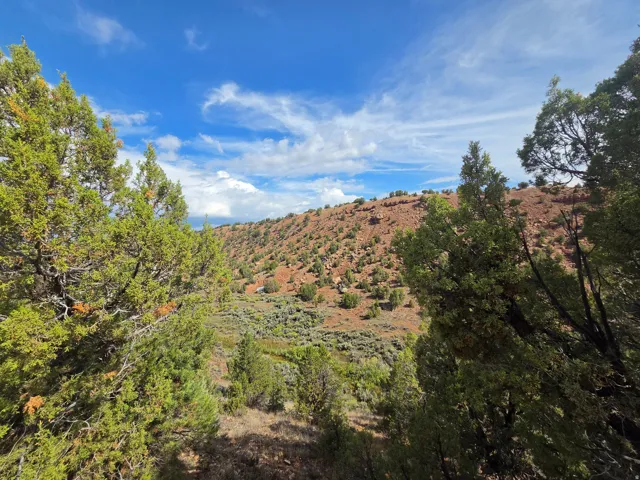 Beautiful Property Views!!