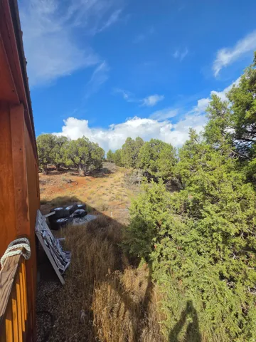 Small off grid cabin/shed