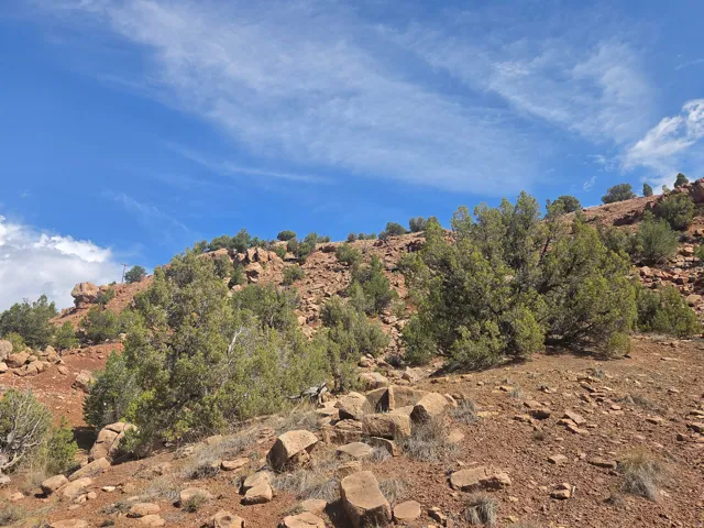 Stunning property views!!