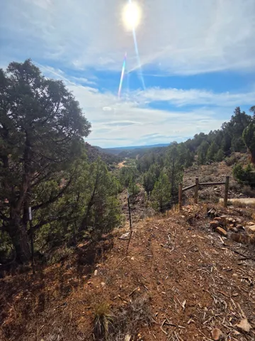 Stunning property views!!