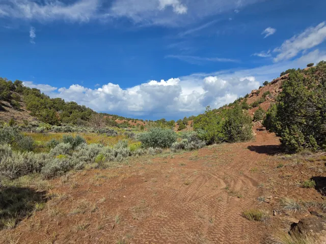 Stunning property views!! Down by the creek!
