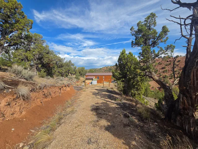 Driveway to the cabin