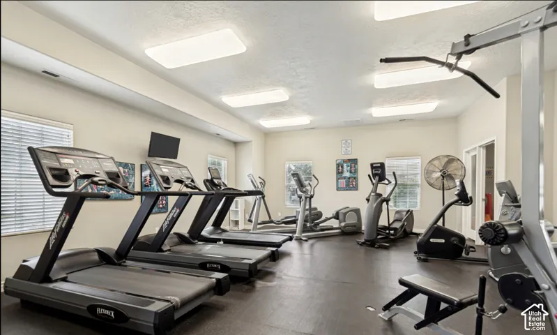Dedicated fitness room with multiple treadmills, elliptical machines, and weight training equipment