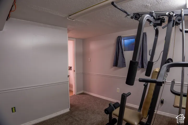 Carpeted room featuring chair rail molding, a window, and overhead strip lighting