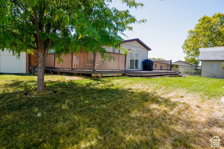 Expansive backyard featuring a mature tree, large wood-finish deck with railing, and a sliding glass door
