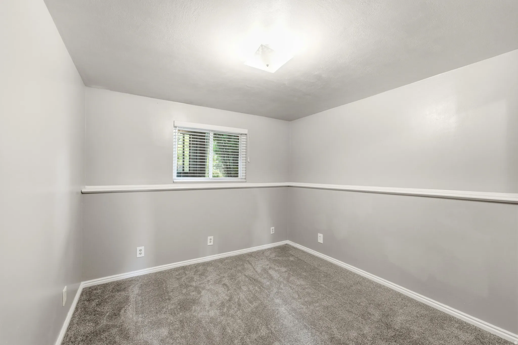 Carpeted flooring, window with blinds, ceiling-mounted light fixture, two-tone wall treatment with chair rail, and white trim