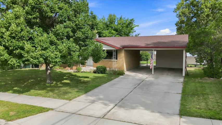 Attached carport with a concrete driveway, mature trees, and a front lawn