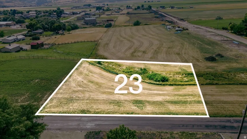 Expansive undeveloped land parcel featuring a section of mature green foliage