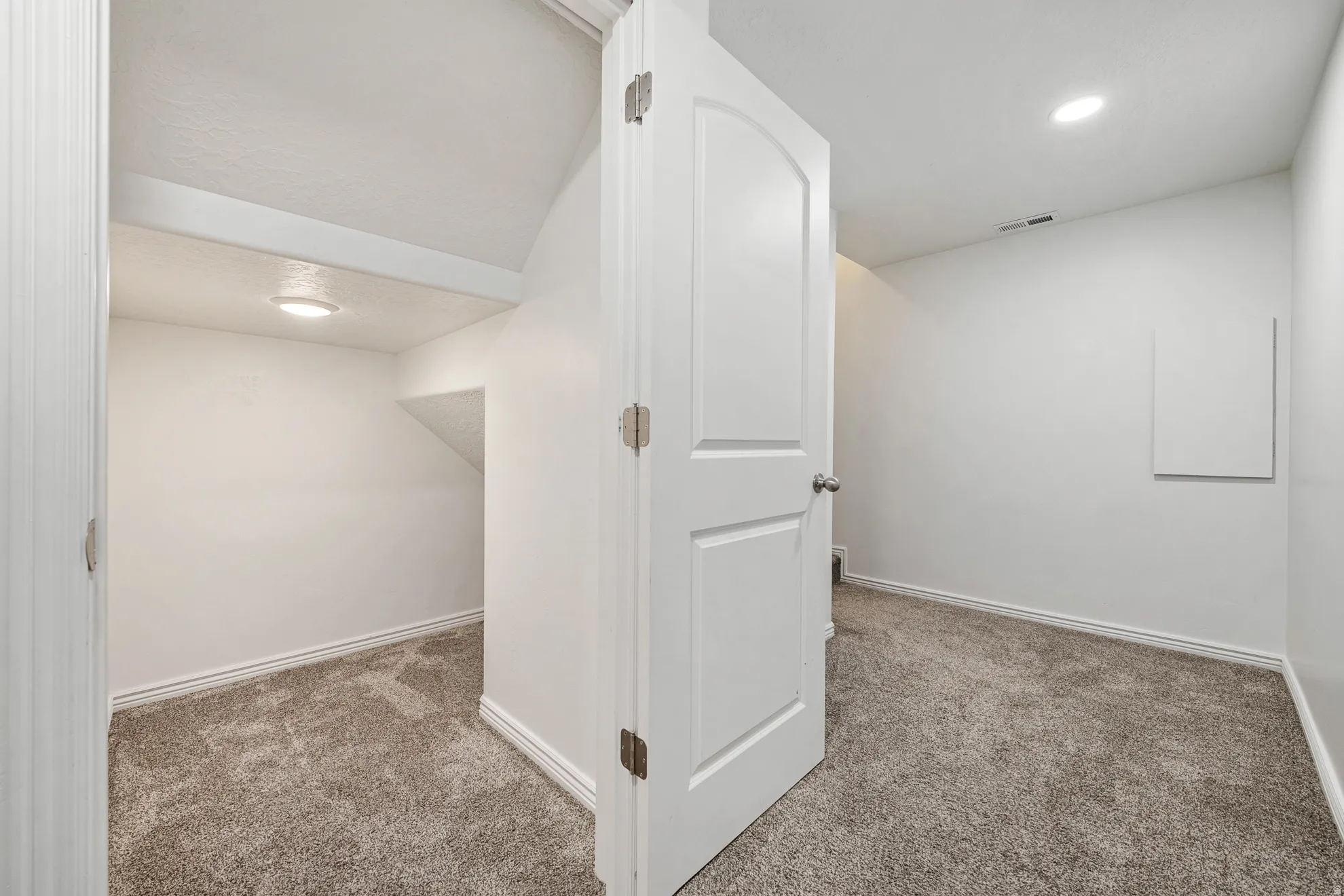 Recessed lighting illuminates a carpeted interior with a white paneled door