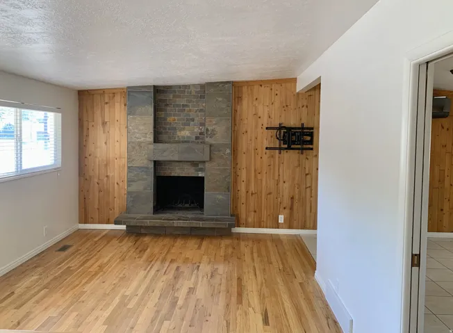 Wood-finish flooring, stone-clad fireplace with hearth, and paneled accent wall
