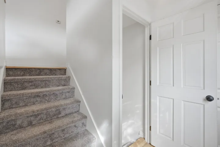 Carpeted staircase with light-toned riser trim and white panel door with dark hardware