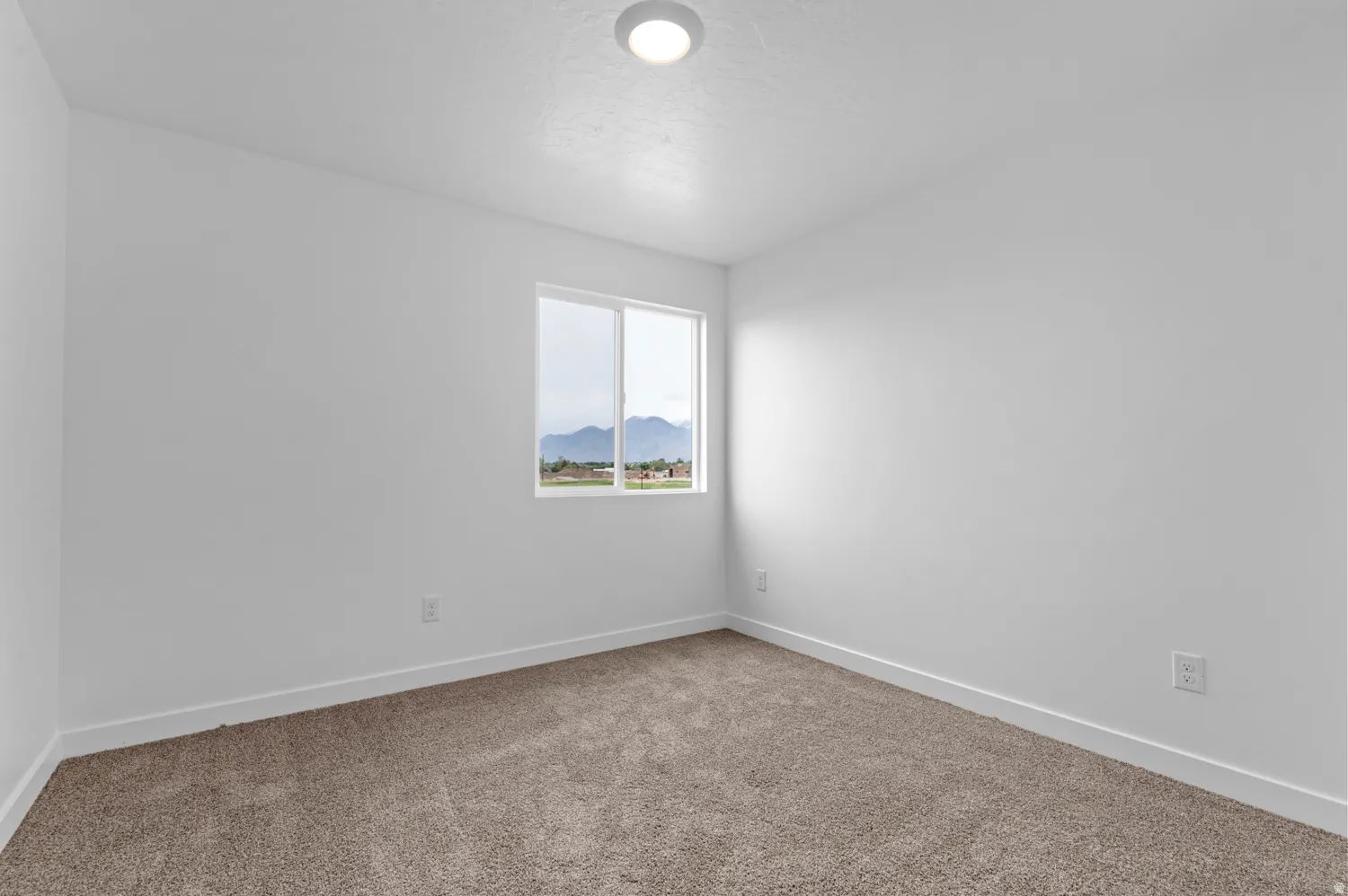 Bright interior with neutral-toned carpet, a single window, and a flush-mount ceiling light
