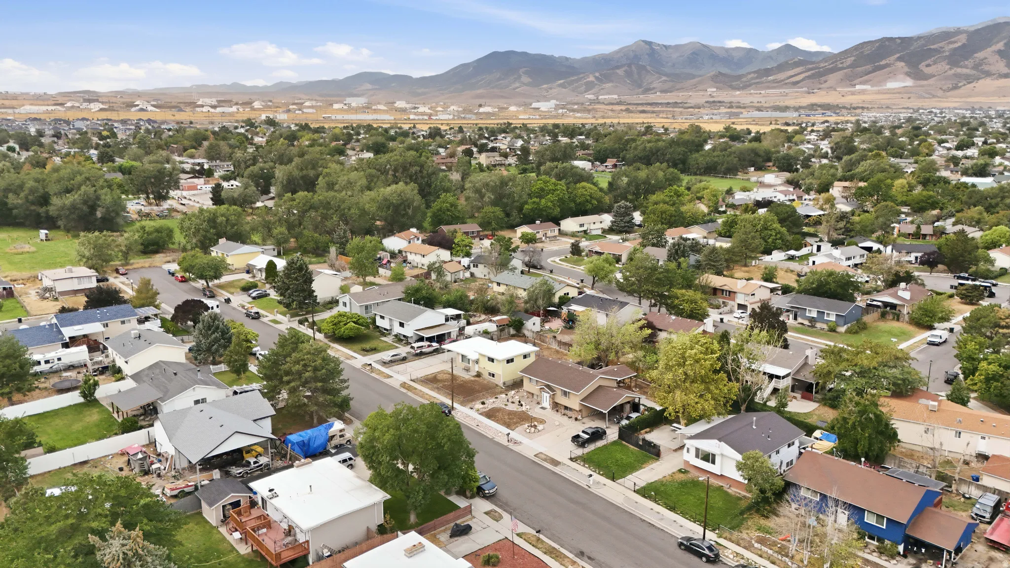 Residential neighborhood with established trees and mountain backdrop