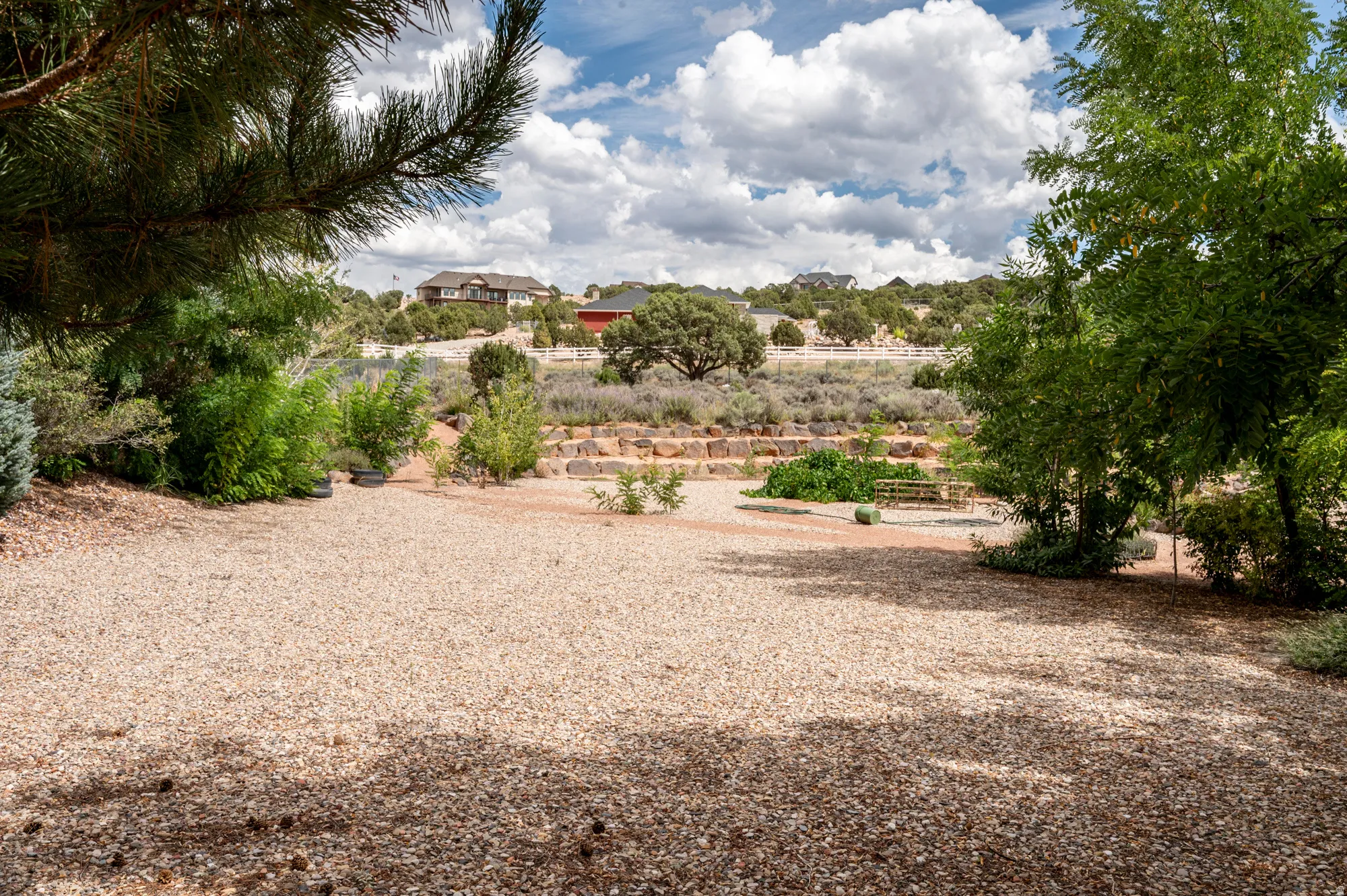 Terraced landscaping with established trees and shrubs
