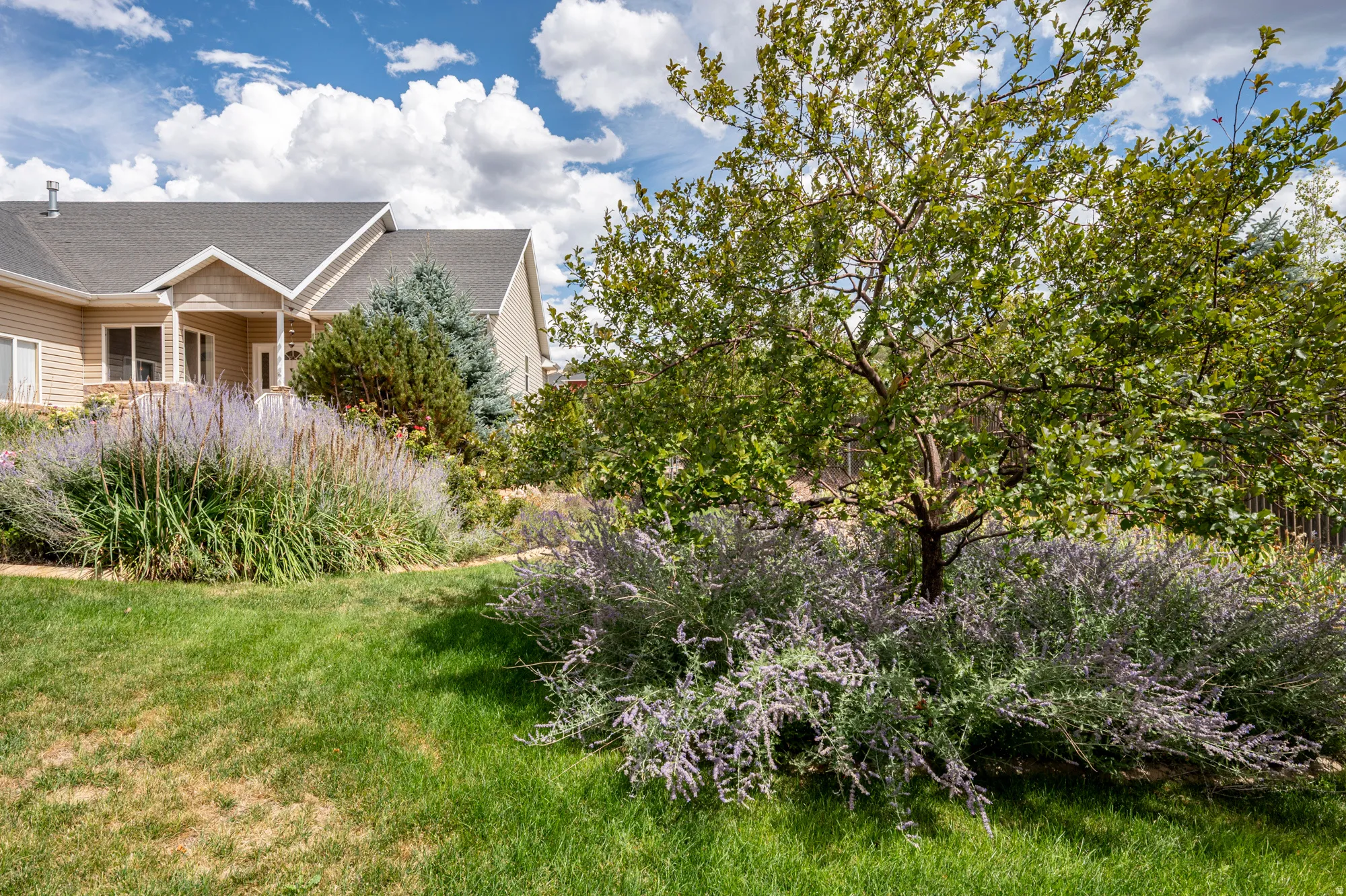 Expansive lawn area with diverse landscaping, featuring mature trees and established plantings