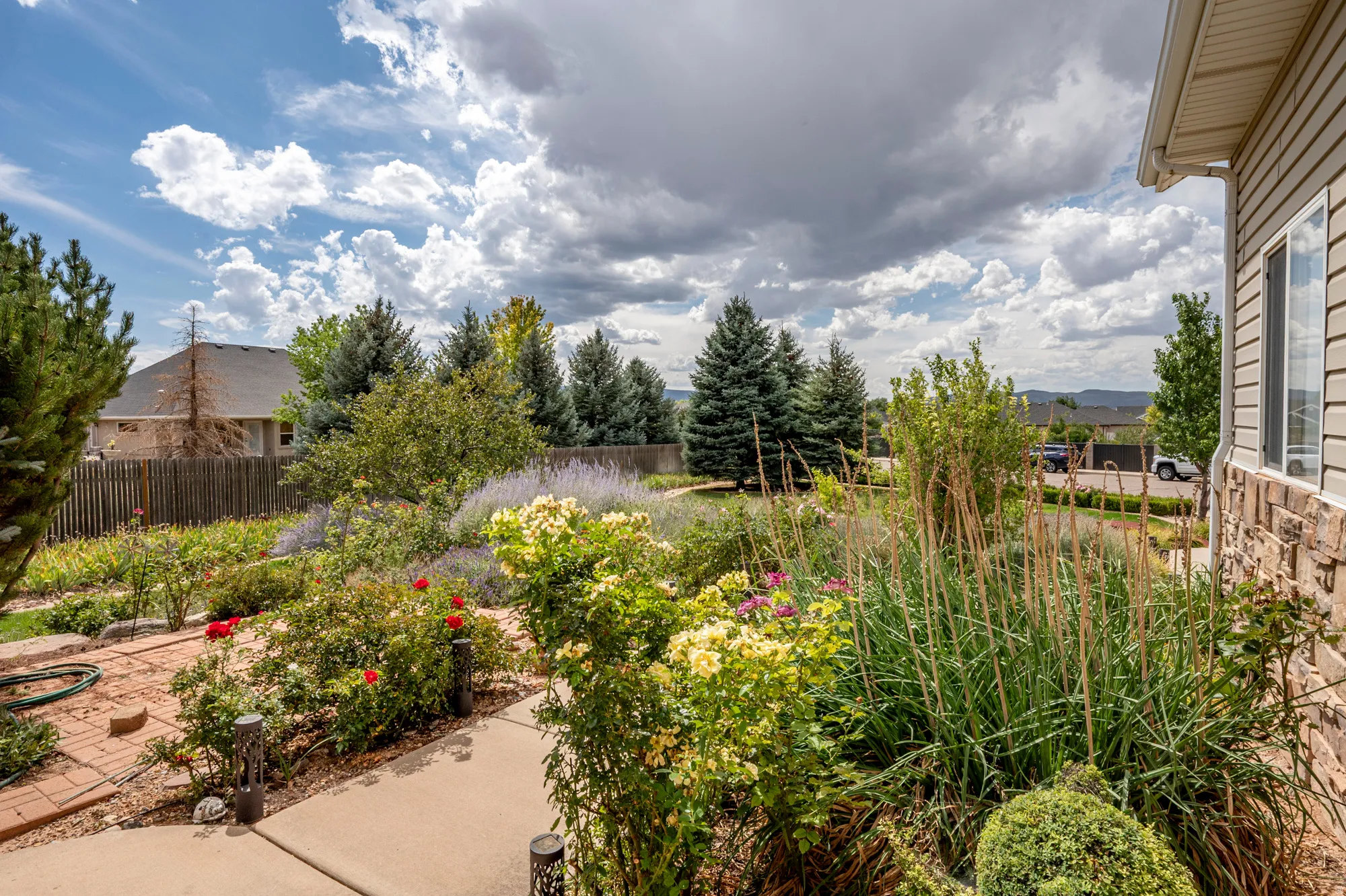 Landscaped garden featuring varied plantings, concrete walkway, and brick-laid path