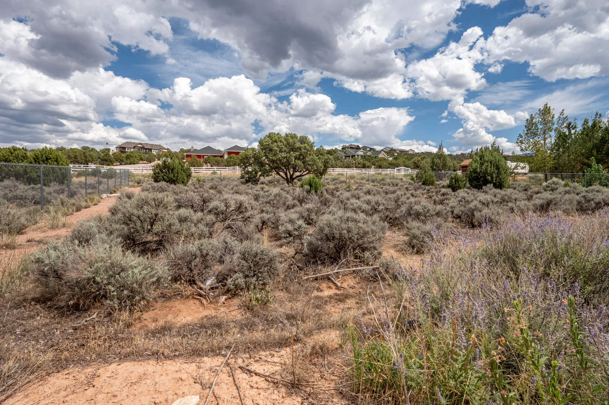 Expansive land featuring natural landscaping, established trees, and a perimeter fence