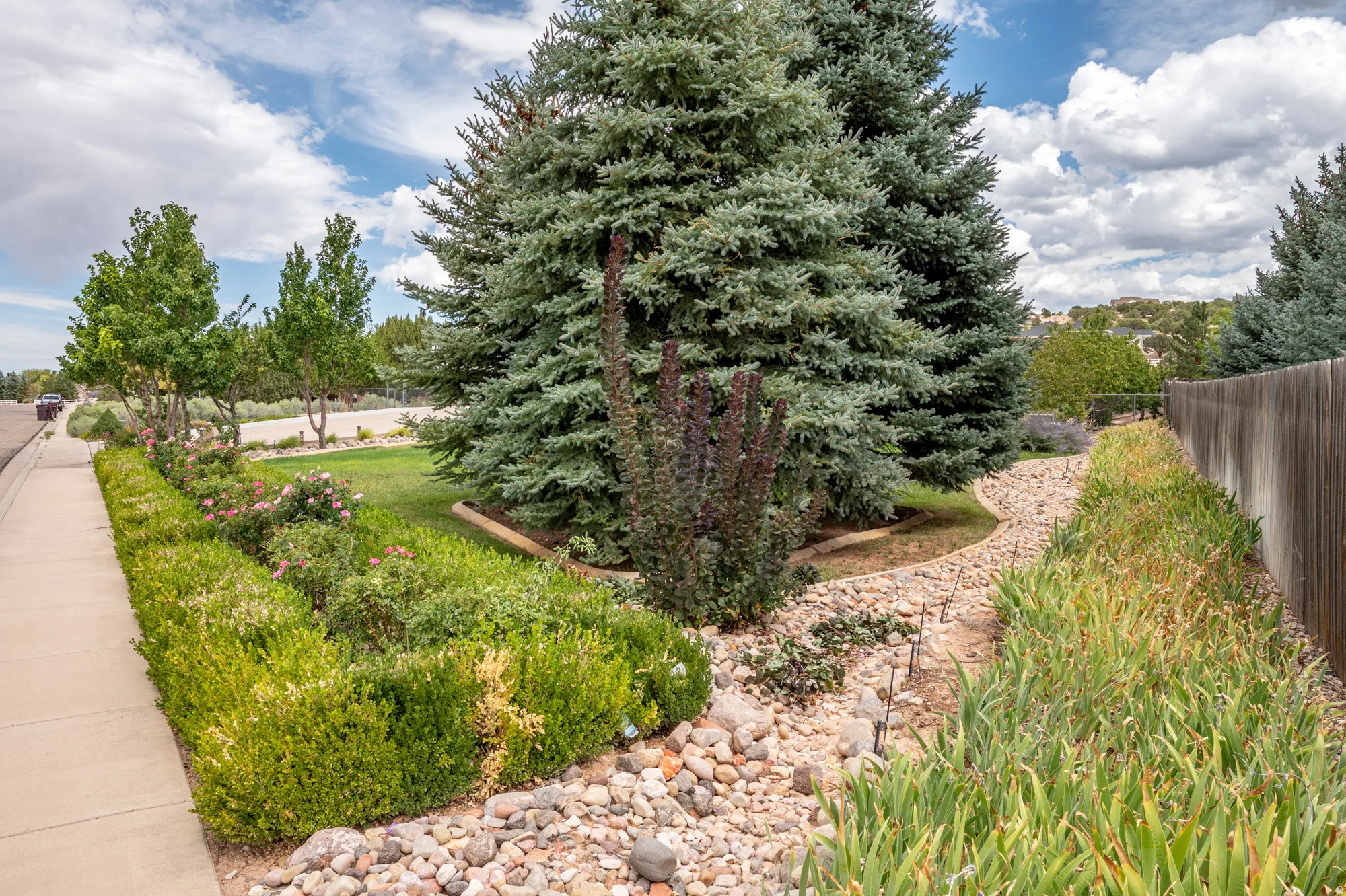 Manicured landscaping featuring evergreen trees, green shrubs, decorative rock beds, and a wooden fence