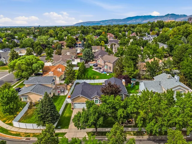 Aerial perspective showcasing a residential area with varied rooflines and mature trees