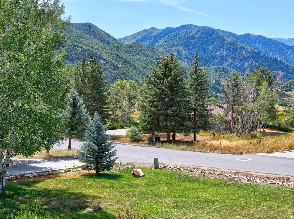 View from the landscaped yard
