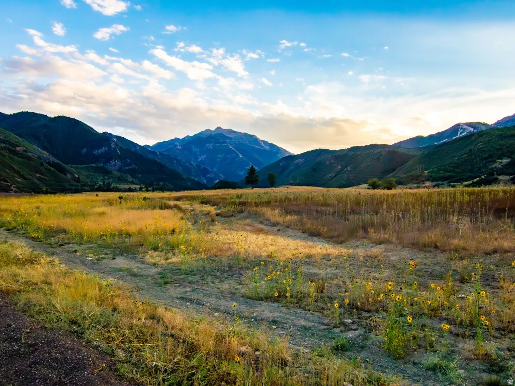 Views from just below Canyon Meadows community, with a pond just over the ridge