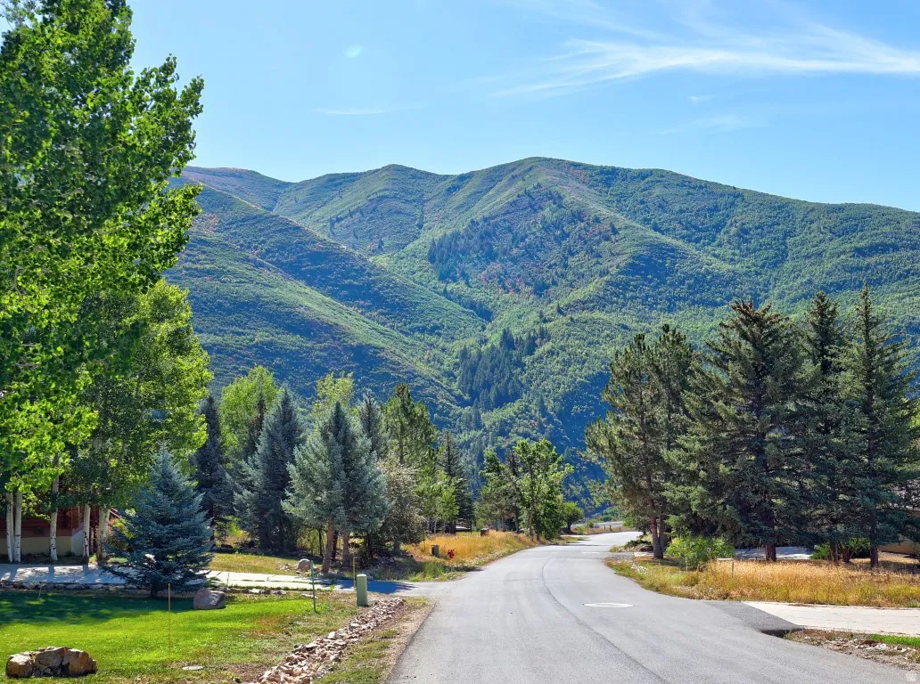 Amazing views throughout Canyon Meadows Mountain development. (Meadows Drive)