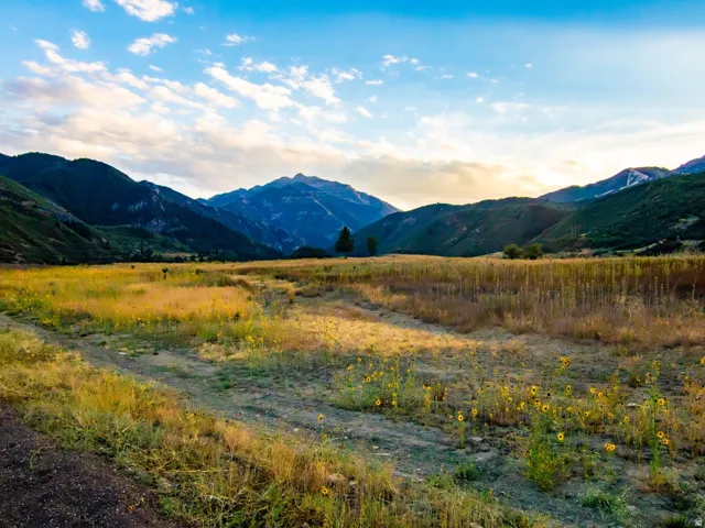 Views from just below Canyon Meadows community, with a pond just over the ridge