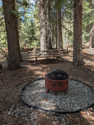 Outdoor fire pit with a gravel base, picnic table, and surrounding mature trees