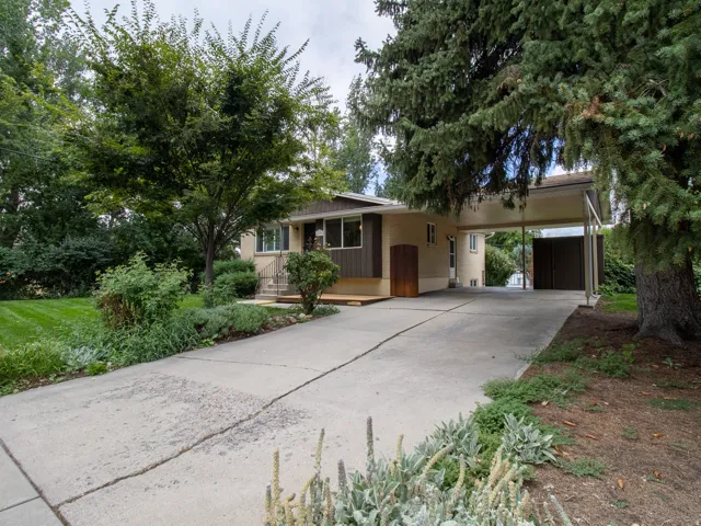 Expansive concrete driveway leading to a covered carport