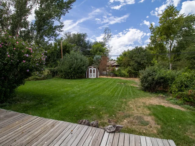 Expansive backyard featuring a manicured lawn, mature trees, and a functional storage shed