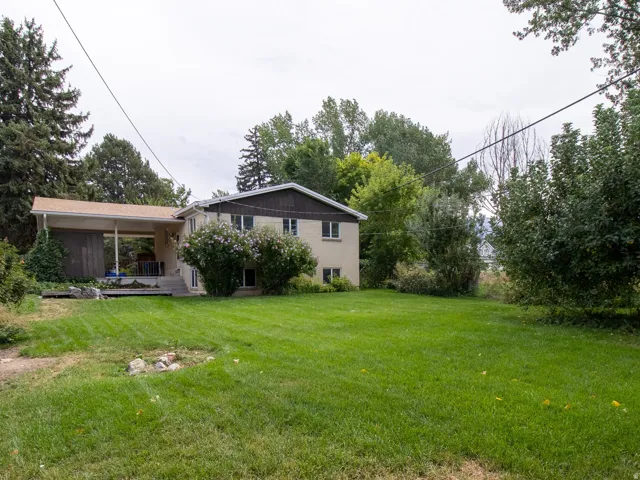 Expansive green lawn, covered patio, outdoor shed, mature trees, and dense shrubbery