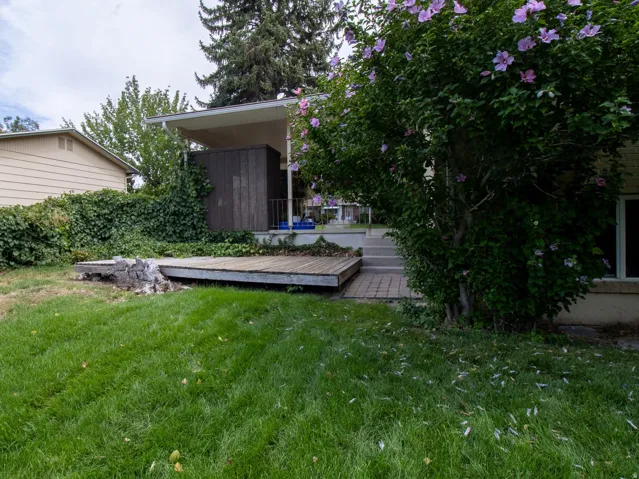 Expansive lawn area with a wood deck, mature flowering shrub, and a covered patio structure