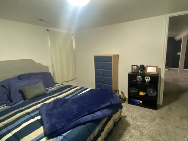 Plush gray carpeting throughout the room