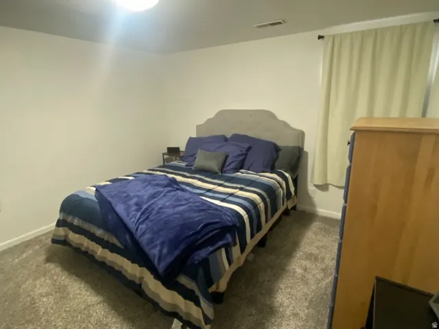 Plush carpeting, neutral wall paint, and a ceiling-mounted light fixture