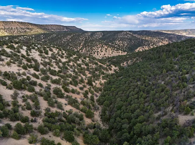 Unit 1-3, Fruitland, Utah 84027