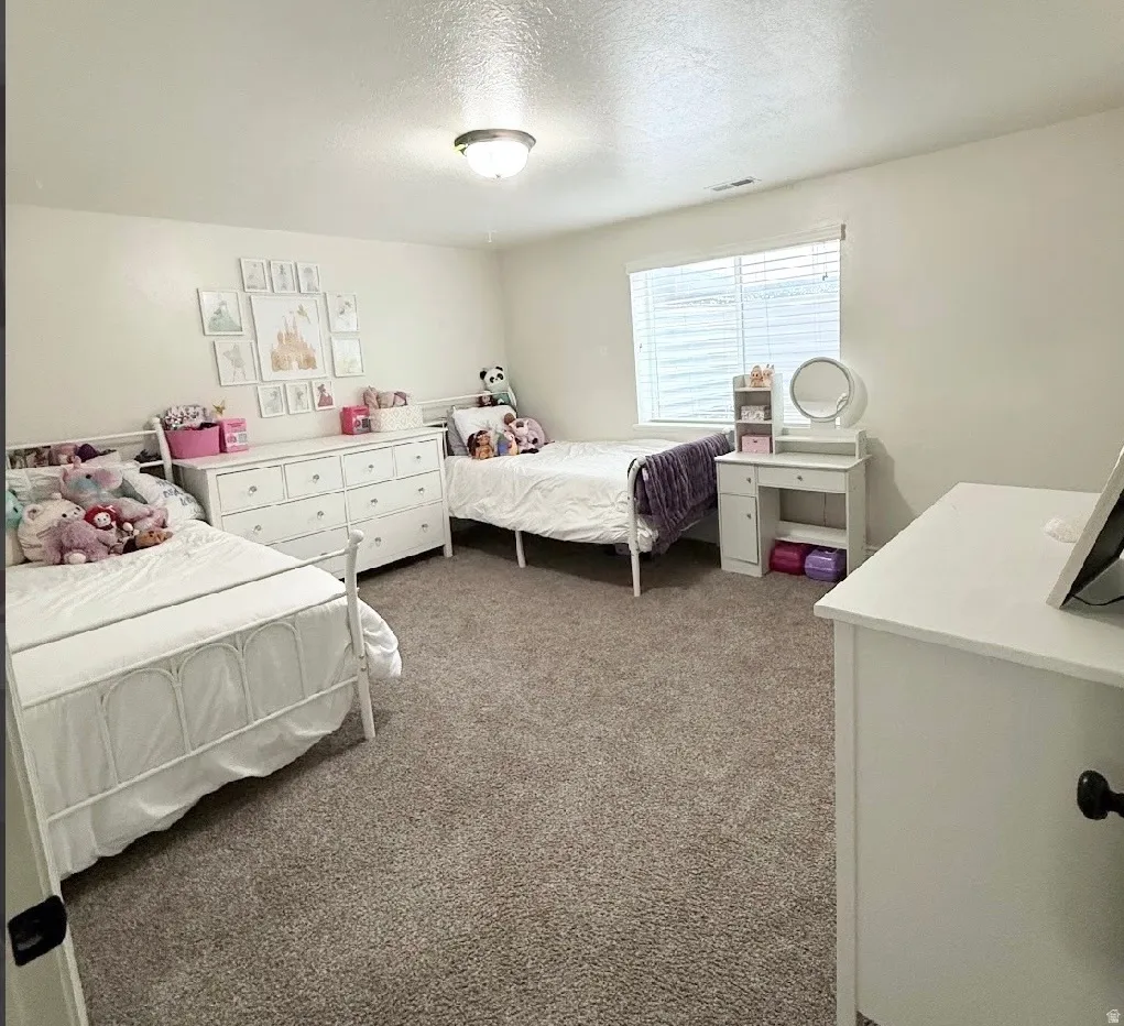 Carpeted flooring, a window with horizontal blinds, and a flush-mount ceiling light fixture