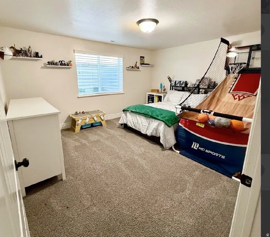 Plush carpeted flooring, a flush-mount ceiling light fixture, and a window with blinds
