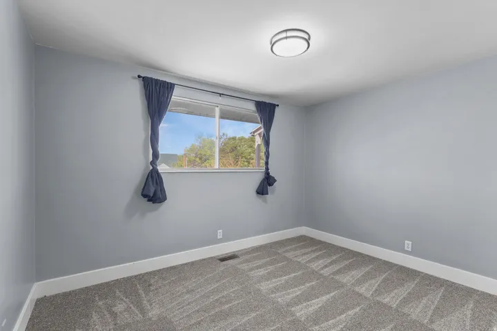 Textured gray carpeting, light gray wall finishes, white trim, and a flush mount ceiling light fixture