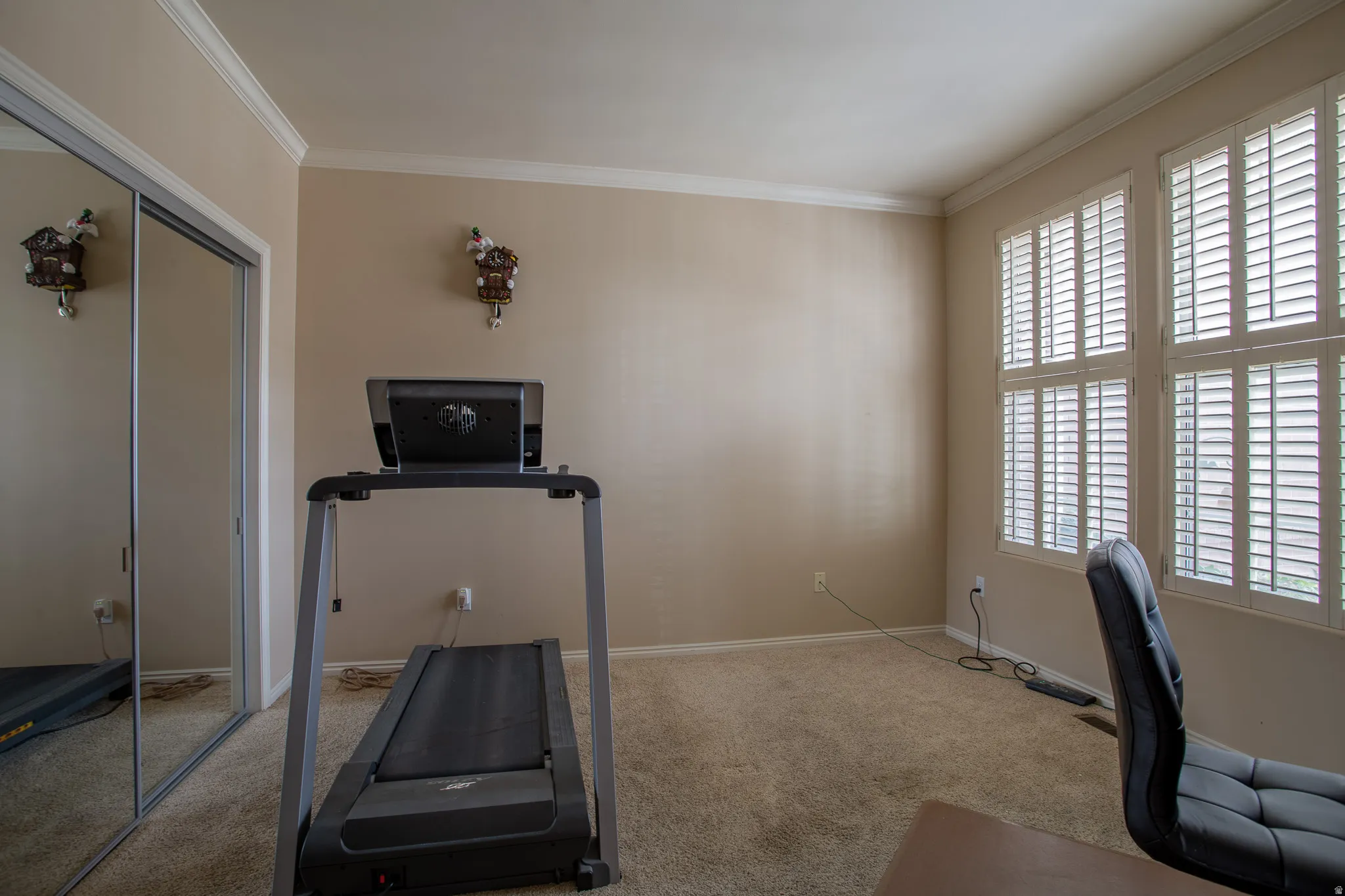 Carpeted room featuring crown molding, mirrored closet doors, and multiple windows with plantation shutters