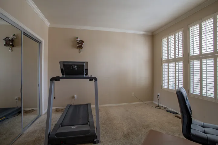 Carpeted room featuring crown molding, mirrored closet doors, and multiple windows with plantation shutters