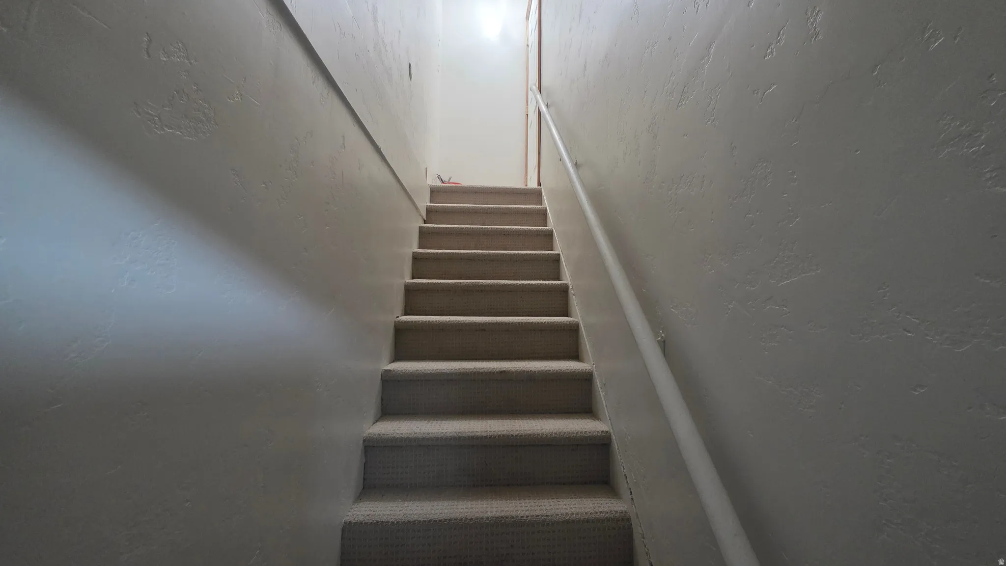 Carpeted staircase with a white handrail and textured wall finishes