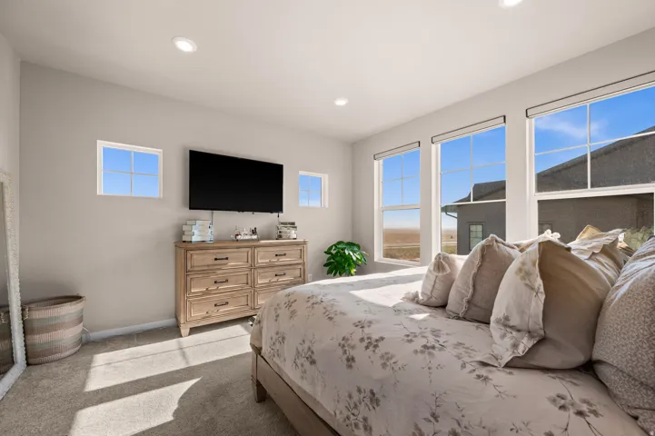 Recessed lighting, multiple windows, broadloom carpet, and a neutral color palette