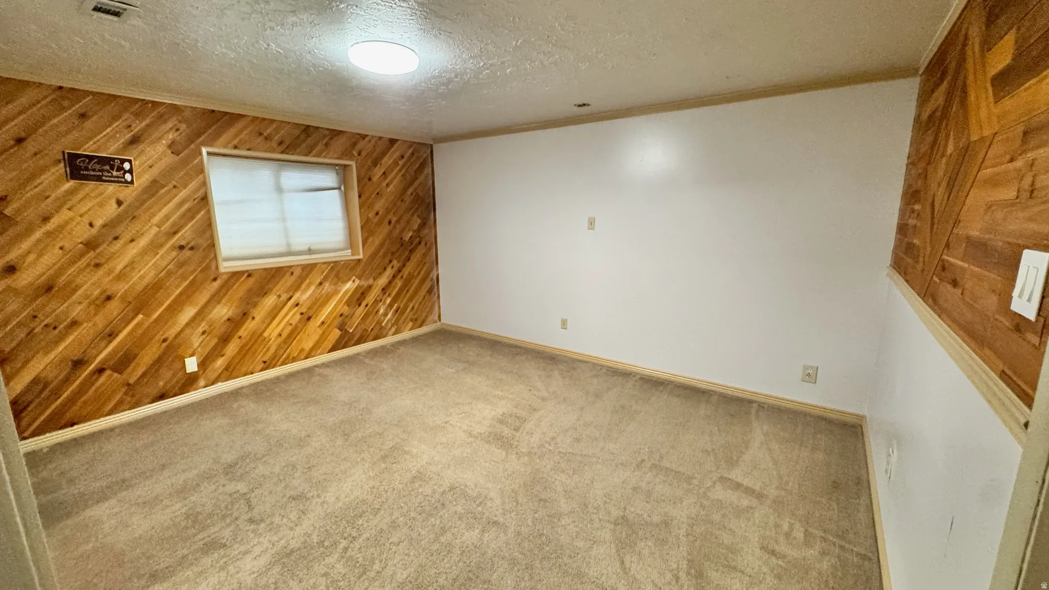 Carpeted flooring, diagonal wood paneling, white painted walls, and a flush-mount ceiling light fixture