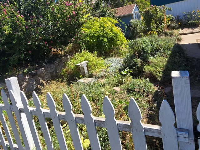 White picket fence framing a terraced garden with mature pollinator plants.