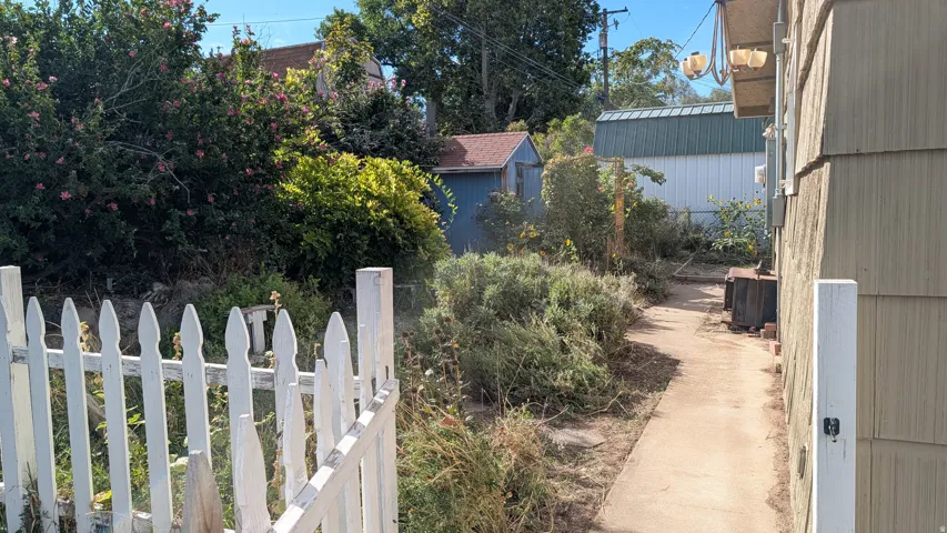 Picket fence entry leading to a concrete pathway and lush landscaping and garden shed