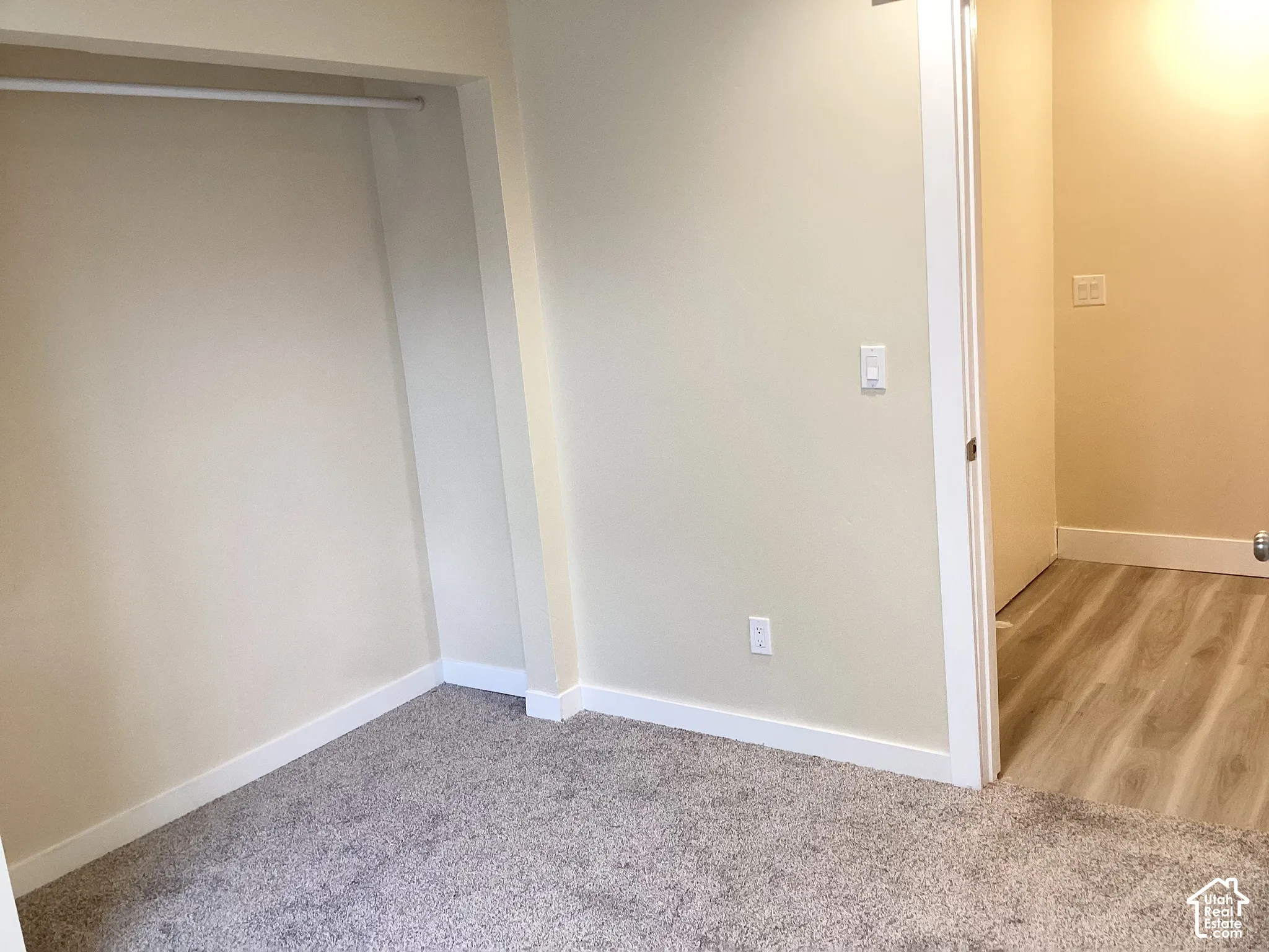 Carpeted room with a built-in clothing rod, light-toned wall paint, and white trim