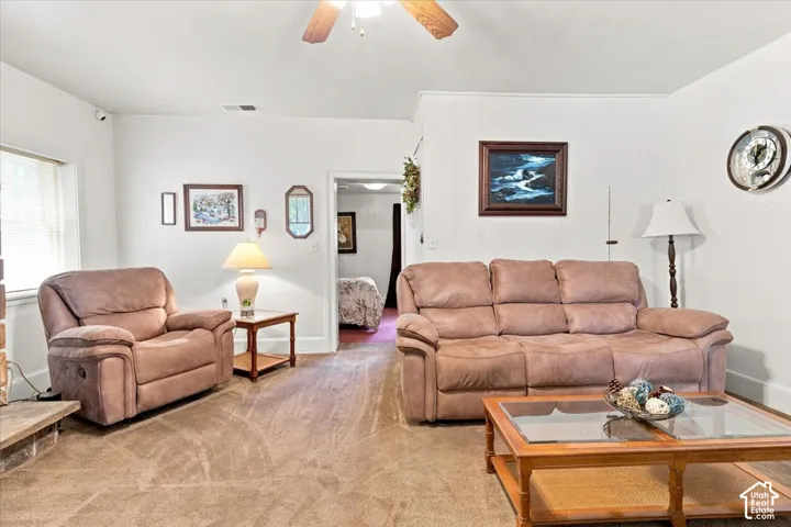 107 E 200 N, Mt Pleasant, Utah 84647